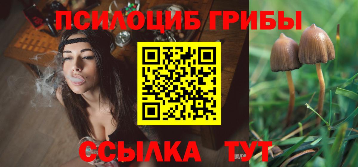Галлюциногенные грибы Magic Shrooms  Вход с VPN  Карасук  Псилоцибиновые грибы GOLDEN TEACHER 